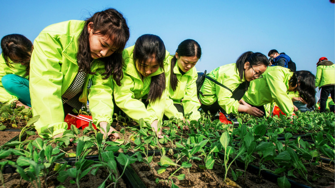 河南省青少年挑战吉尼斯世界纪录庆祝植树节